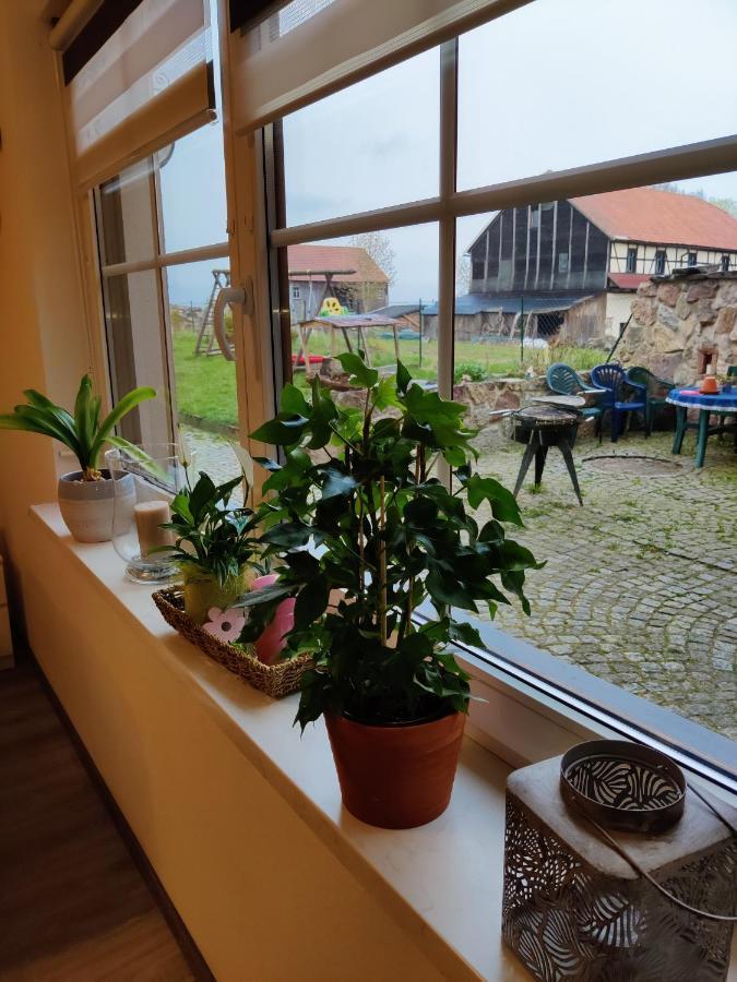 Ferienwohnung Brunow "In Der Natur Zuhause" Neundorf  Екстер'єр фото